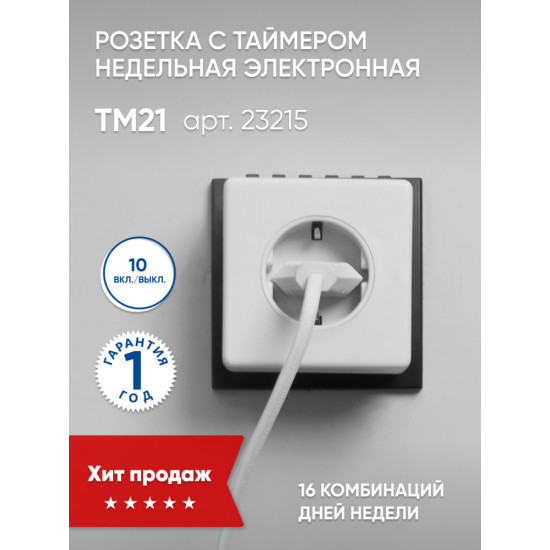 Розетка TM21 FERON